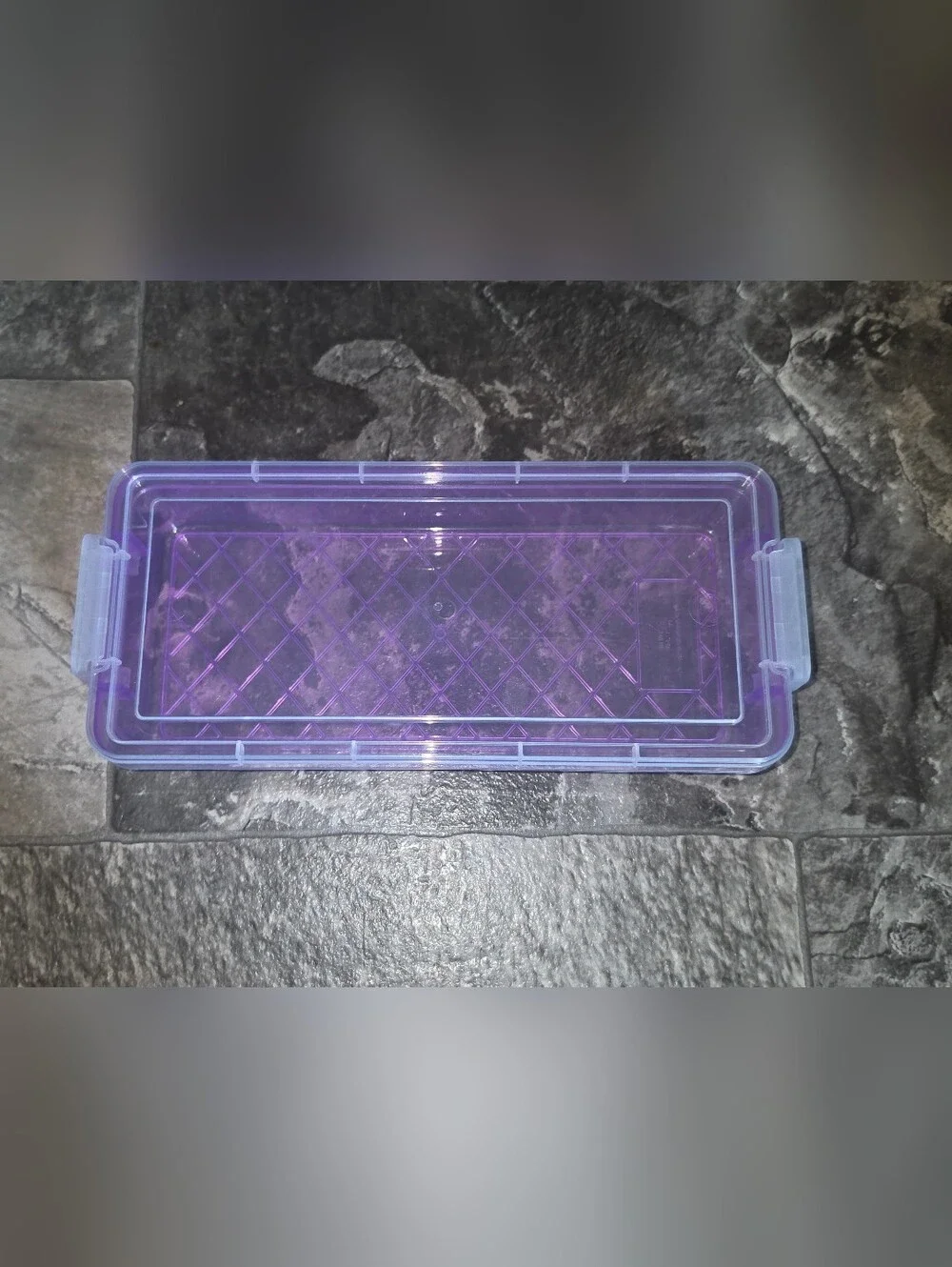 Rectangular Organzer with 2 Lock Containers in Purple BNIB